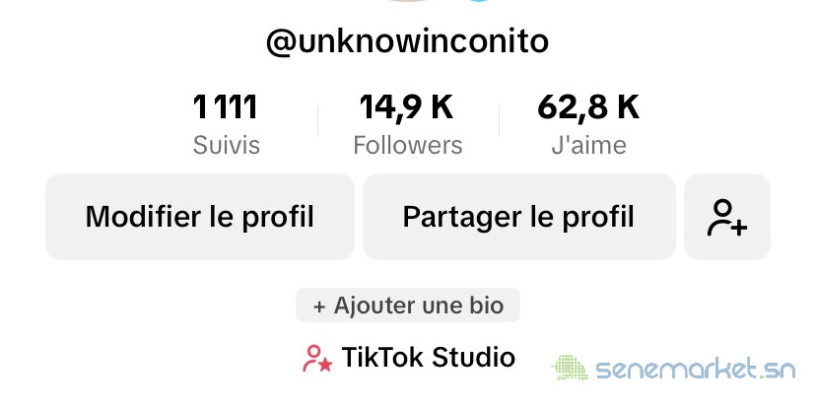 compte-tiktok-14k-dabonnes-big-0