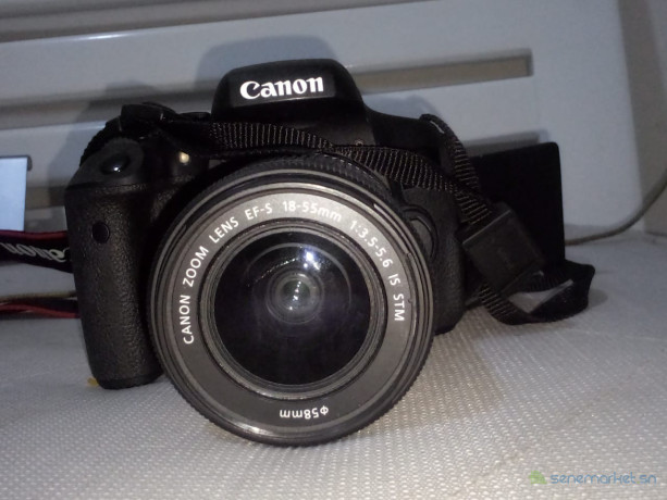 canon-a-vendre-big-2