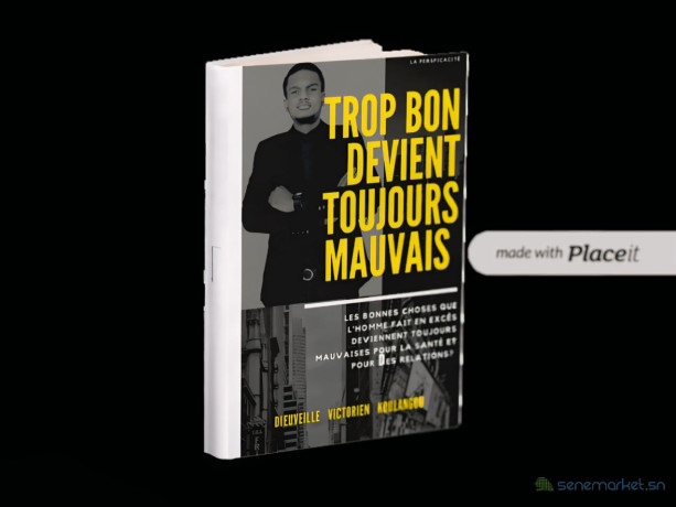 livre-trop-bon-devient-toujours-mauvais-avec-dieuveille-koulangou-big-1