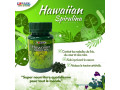 spiruline-hawaienne-small-0