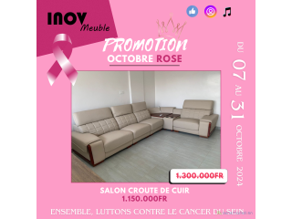 Salons en croute de Cuir promo Octobre Rose9