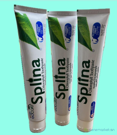 dentifrice-splina-chlorophylle-big-0