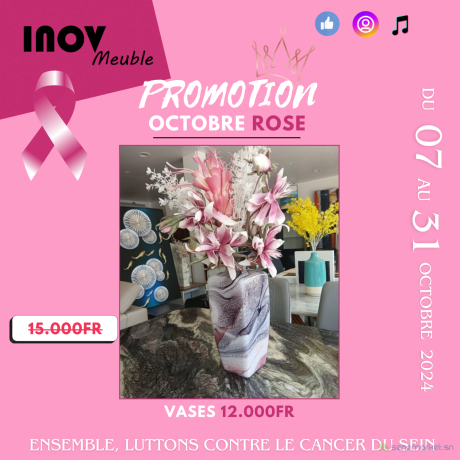 vases-promo-octobre-rose11-big-0