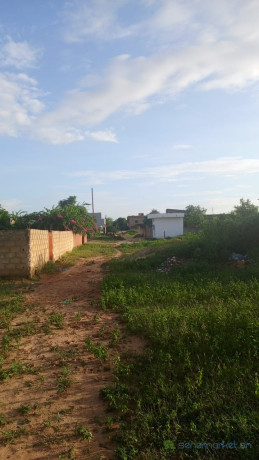 terrain-de-300-metres-carres-a-vendre-a-malicounda-extension-big-3