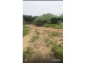 terrain-de-1000-metres-carres-a-vendre-a-toubab-dialaw-small-1