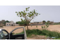 terrain-de-165-metres-carres-a-vendre-a-saly-senegal-small-2