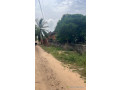 terrain-de-194-metres-carres-a-vendre-a-saly-senegal-small-2