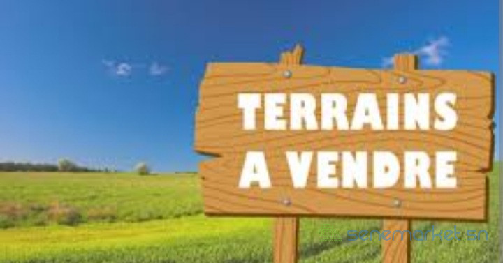 terrain-tf-a-vendre-big-0