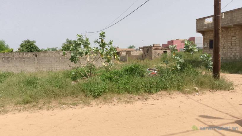 terrain-de-300-metres-carres-a-vendre-a-saly-medine-big-1