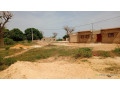 terrain-de-300-metres-carres-a-vendre-a-saly-joseph-keur-youngar-small-1