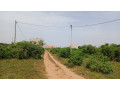 terrain-de-450-metres-carres-a-vendre-a-saly-joseph-keur-youngar-small-3