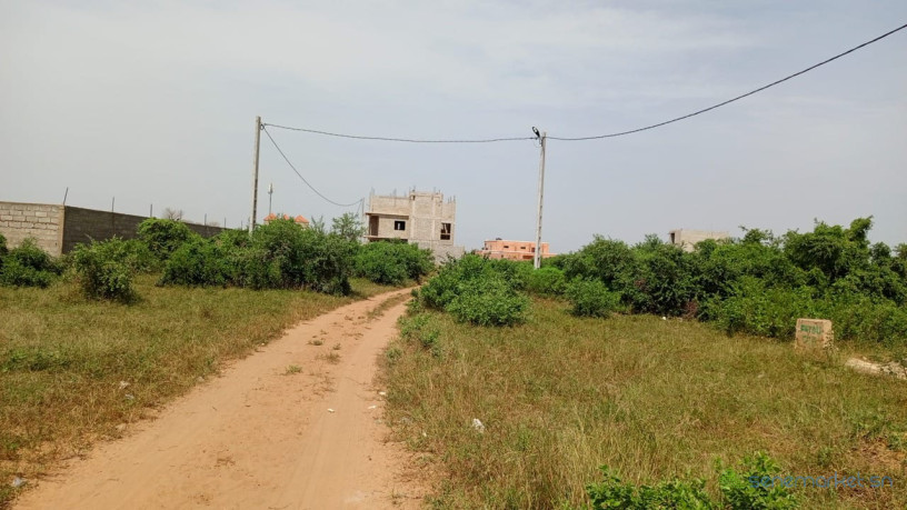 terrain-de-450-metres-carres-a-vendre-a-saly-joseph-keur-youngar-big-1