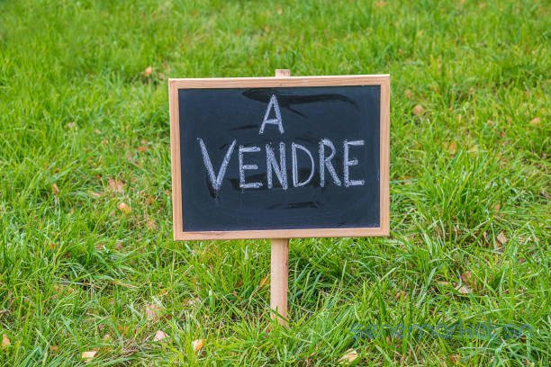 terrains-a-vendre-a-ouest-foire-big-1