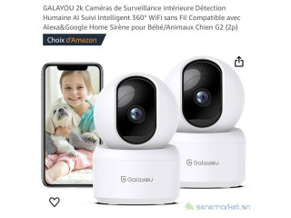 Camera de surveillance