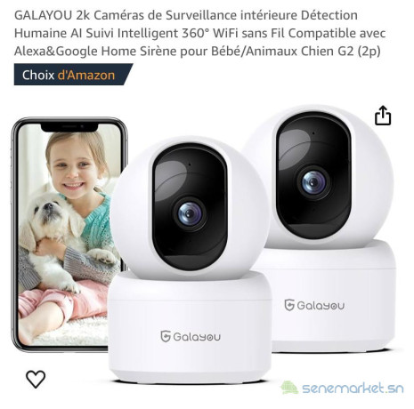 camera-de-surveillance-big-0