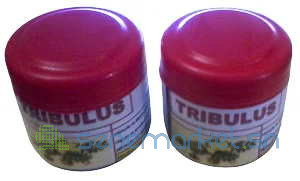 tribulus-terrestris-big-0