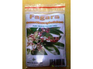 FAGARA