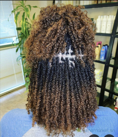 twists-x-braids-big-0