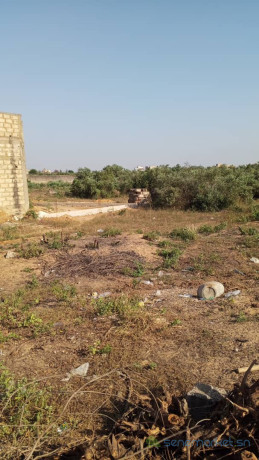 terrain-de-500-metres-carres-a-vendre-a-gandigal-senegal-big-1