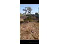 terrain-agricole-de-1-hectare-a-vendre-a-tattaguine-senegal-small-2