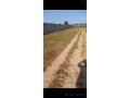 terrain-agricole-de-1-hectare-a-vendre-a-tattaguine-senegal-small-1