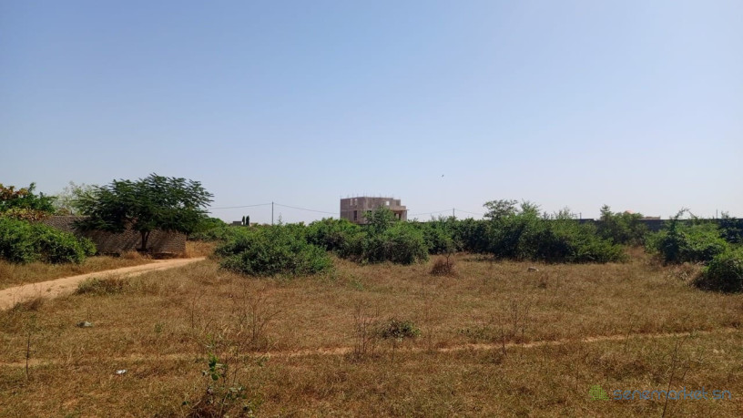 terrain-de-900-et-450-metres-carres-a-vendre-a-saly-senegal-big-2