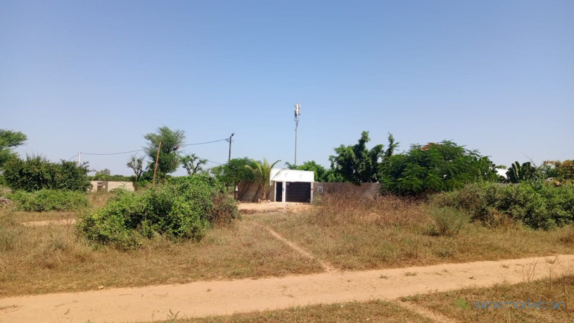 terrain-de-900-et-450-metres-carres-a-vendre-a-saly-senegal-big-1