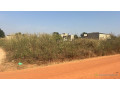 lot-de-4-terrains-de-300-metres-carres-a-vendre-a-warang-senegal-small-3