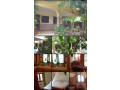 villa-meublee-a-vendre-a-warang-senegal-small-2