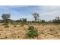 terrains-de-225-metres-carres-a-malicounda-senegal-small-1