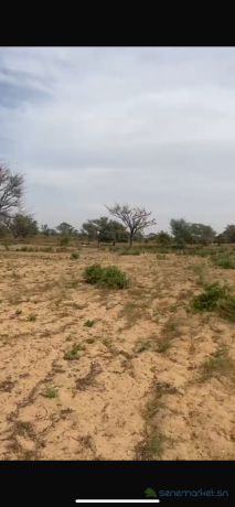 terrains-de-225-metres-carres-a-malicounda-senegal-big-3