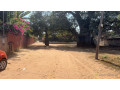 terrain-de-500-metres-carres-a-vendre-a-warang-senegal-small-1