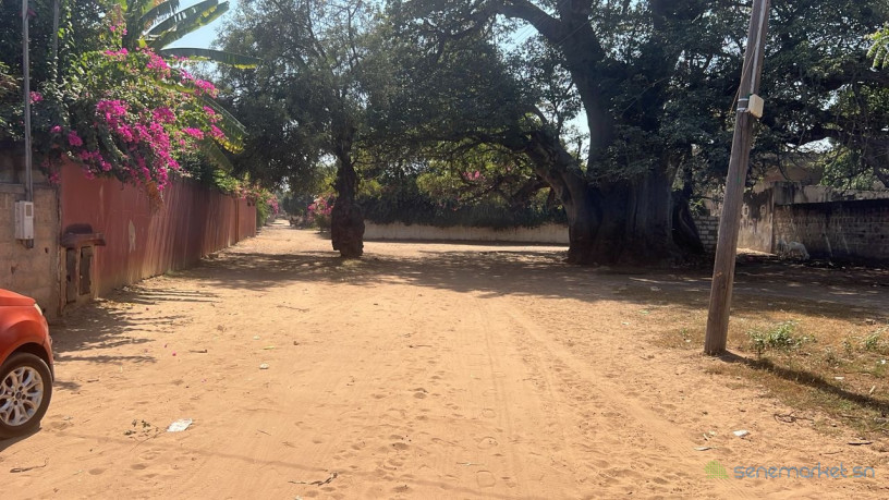 terrain-de-500-metres-carres-a-vendre-a-warang-senegal-big-1