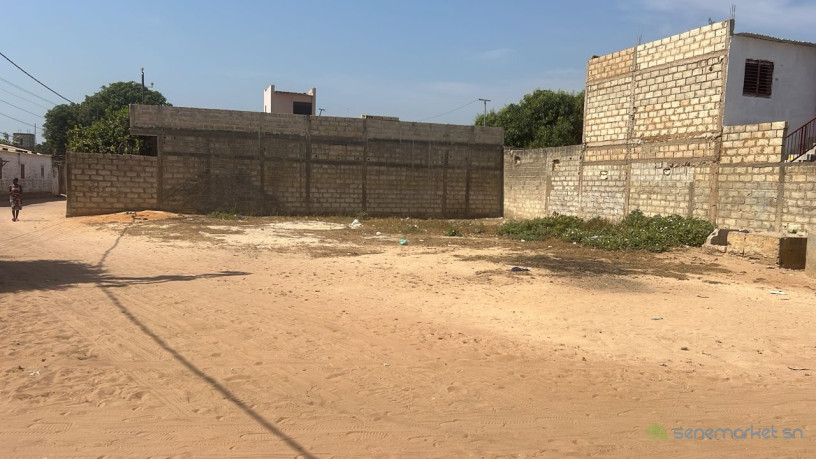 terrain-de-500-metres-carres-a-vendre-a-warang-senegal-big-2