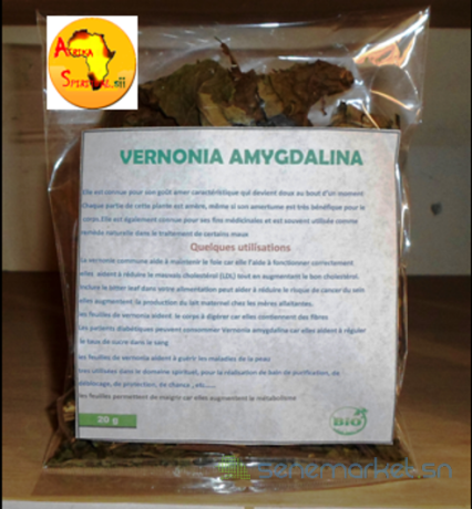 vernonia-amygdalina-big-0