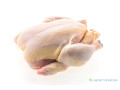 vente-de-poulet-small-0