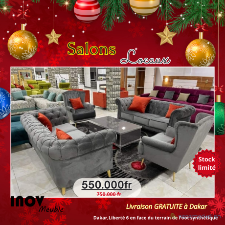 salons-locaux-promo-noel13-big-1