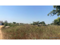 terrain-de-300-metres-carres-a-vendre-a-ndiourokh-senegal-small-2