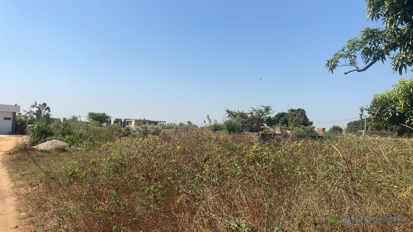 terrain-de-300-metres-carres-a-vendre-a-ndiourokh-senegal-big-2