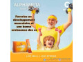 complement-alimentaire-cellulaire-alphameta-small-1