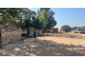 terrain-de-5000-metres-carres-a-vendre-a-mbour-senegal-small-2