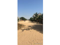 terrain-de-5000-metres-carres-a-vendre-a-mbour-senegal-small-1