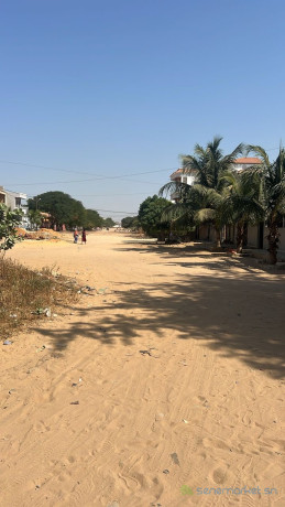 terrain-de-5000-metres-carres-a-vendre-a-mbour-senegal-big-1