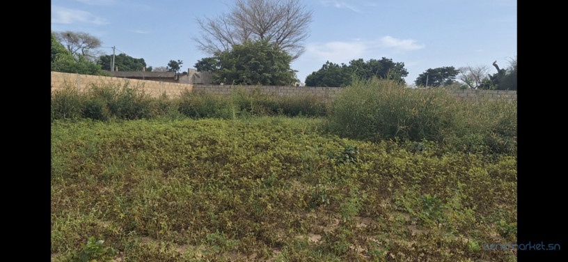 terrain-400m2-a-vendre-big-0