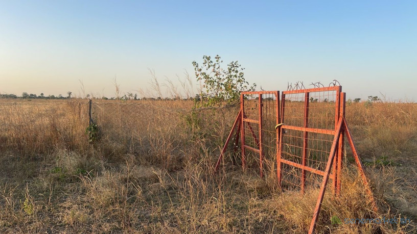 champ-de-1-hectare-et-demi-a-vendre-a-gudji-vers-mbodiene-senegal-big-3