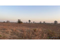 champ-de-3-hectares-a-vendre-a-mbodiene-senegal-small-1