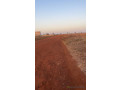 champ-de-3-hectares-a-vendre-a-mbodiene-senegal-small-2