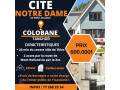 cite-notre-dame-small-0