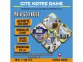 cite-notre-dame-small-1