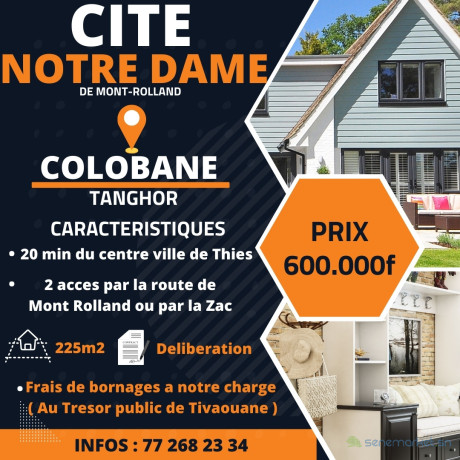 cite-notre-dame-big-0